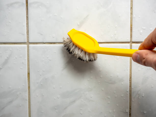 Best Post-Flood Mold Remediation in Royersford, PA