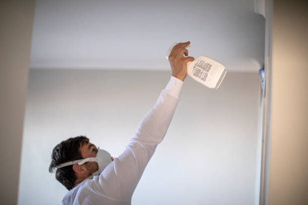 Best Industrial Mold Remediation in Royersford, PA